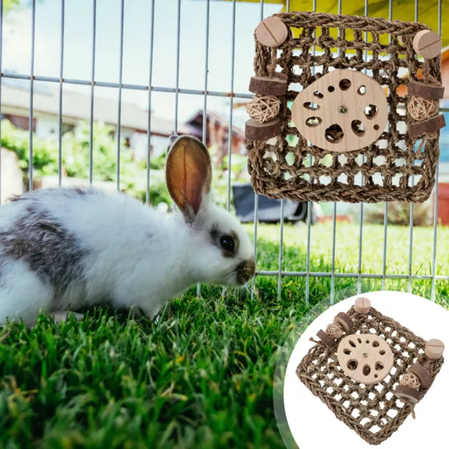 Kit para conejos accesorios para mascotas juguete dental limpio