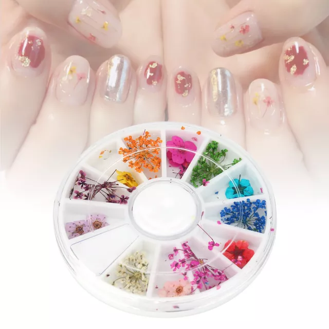 12 Types Colorful Natural Dried Flowers Set Real Dry Flowers Nail Decor CMM