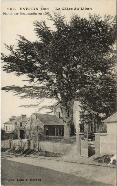 CPA EVREUX-Le Cédre du Liban (28977)