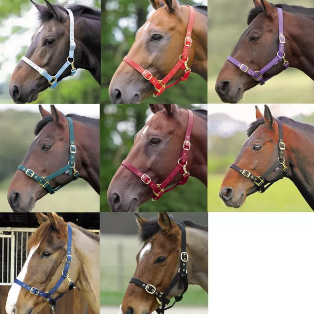 Shires Headcollar Nylon Adjustable Head Collar Foal Pony Cob Full Extra Large
