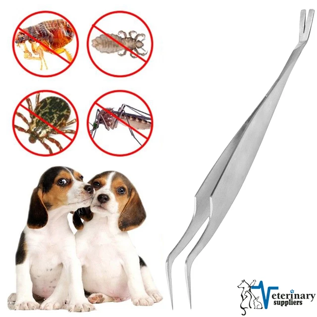 Handle Ultra Fine Metal Teeth Comb Remove Nit Lice Eggs Pet Flea for Clean Hair 3