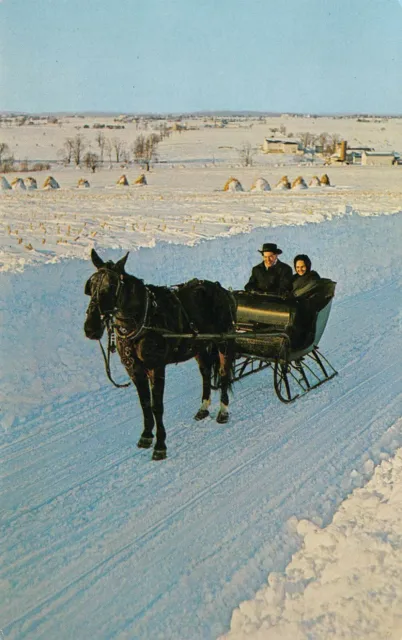 Vintage Postcard Indiana IN Amish Homestead Horse Drawn Sleigh Winter Snow