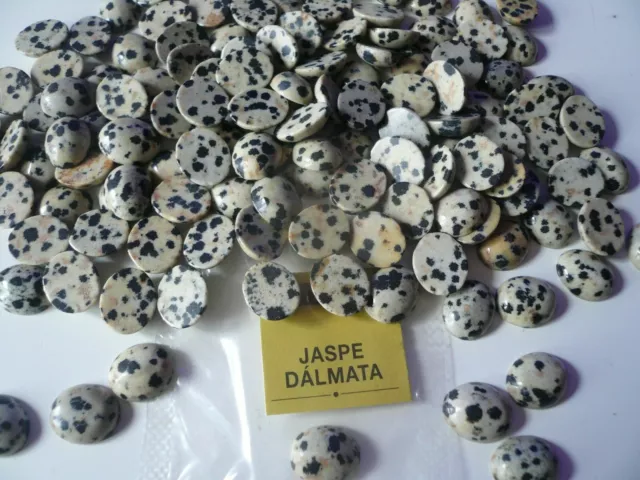 Liquidacion   Lote Cabujon 100 Gemas Naturales Jaspe Dalmata( Nuevo  )