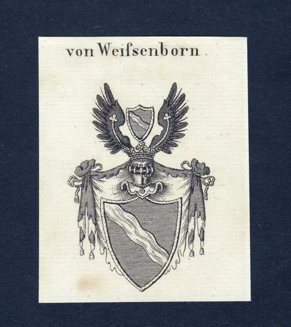 1820 Weifsenborn Emblem Nobility Coat Of Arms Heraldry Copperplate Engraving