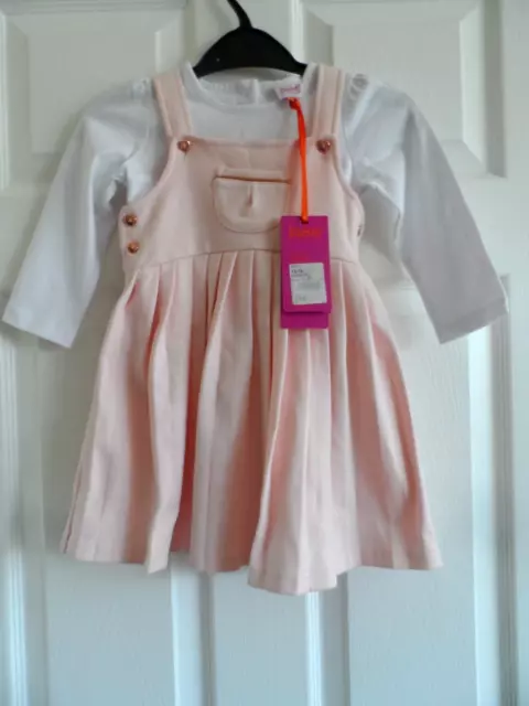 Nwt Ted Baker Girls Pink Pleated Pinafore Dress & Long Sleeve Top 12 - 18 Months