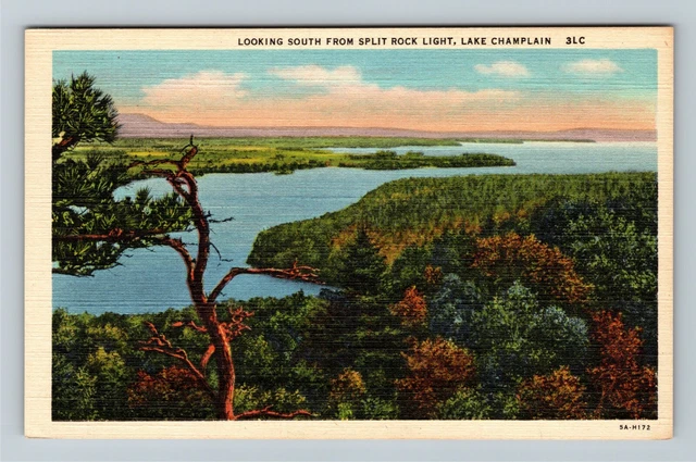 Lake Champlain, NY-New York, Looking South, Lake View, Trees Vintage Postcard