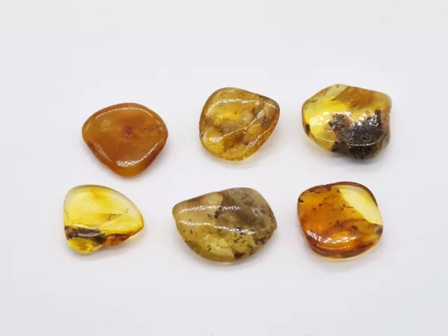 Mixed 34.185ct 40-60 Million Years Old Natural Amber Fossil Piece