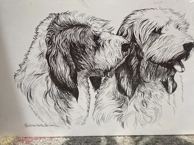 Petit Basset Griffon Vendeen Pair Head Study Ltd Ed Print 11x17