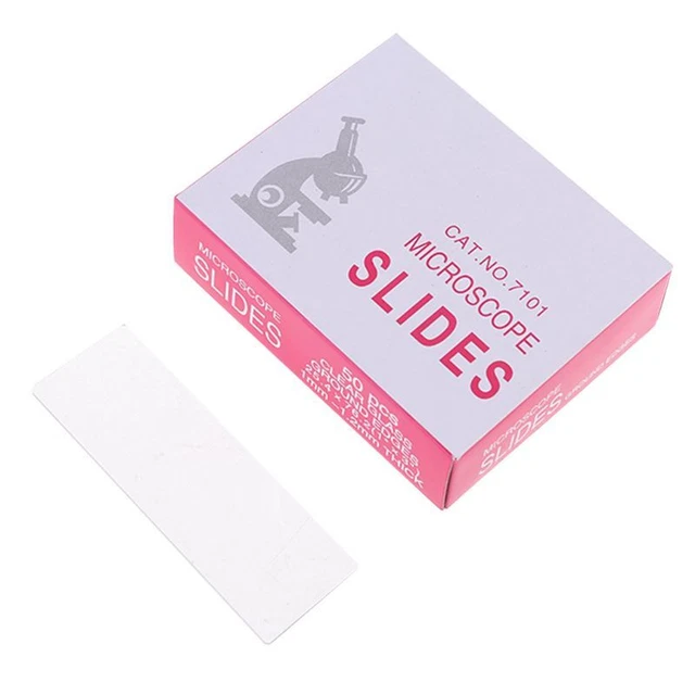 Plastic Prepared Microscope Slides  Biological Specimens Sample for Kids
