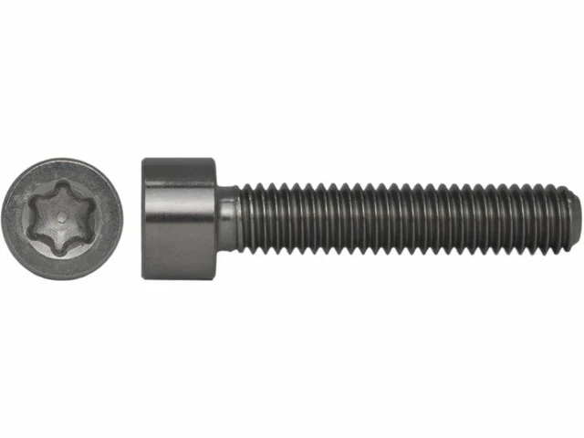 Vite A Testa Cilindrica Torx-esalobata Bassa In PEEK - ISO 14580 – High - Foto 6
