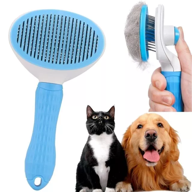 BluePet Brosse en caoutchouc pour poils courts - Brosse de bain pour chien  et chat - Effet de massage - Enlève les poils morts, la saleté et la  poussière (Bleu Doux) : : Animalerie