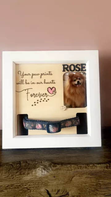 Pet Memorial Photo Box Frame Collar Display Personalised Rememberance Dog Cat