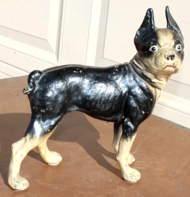 BEAUTYFUL Vntage Antique CAST IRON BOSTON TERRIER TOY DOOR STOP~HUBLEY~8 lbs~11"