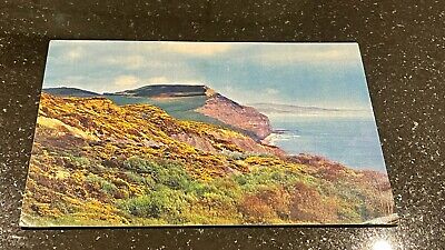 Golden Cap near Charmouth Dorset Vintage 1970s Postcard