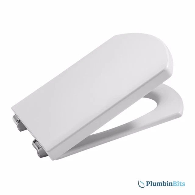 How To Replace Roca Toilet Seat Hinges Matttroy