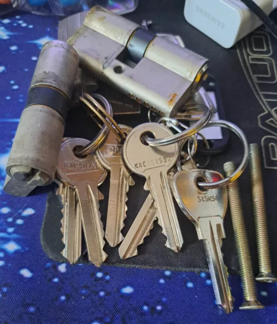 OPSIAL Lot de 2 cylindres de serrure profilés 30/30 à fermeture identique avec 6