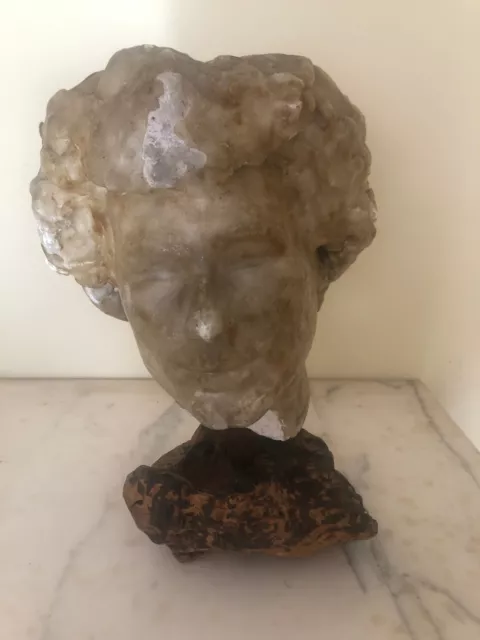 Male Plaster Core Wax Head Sculpture Total Height Approximately 40cm