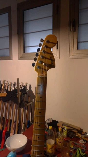 Stratocaster Relic Palettone 2