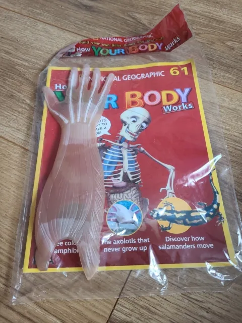 National Geographic How Your Body Works Billie Bones - Issue 61