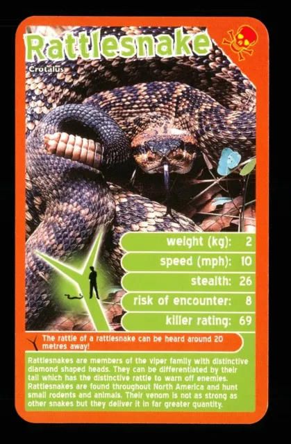 1 x info card deadliest predator Rattlesnake - R114