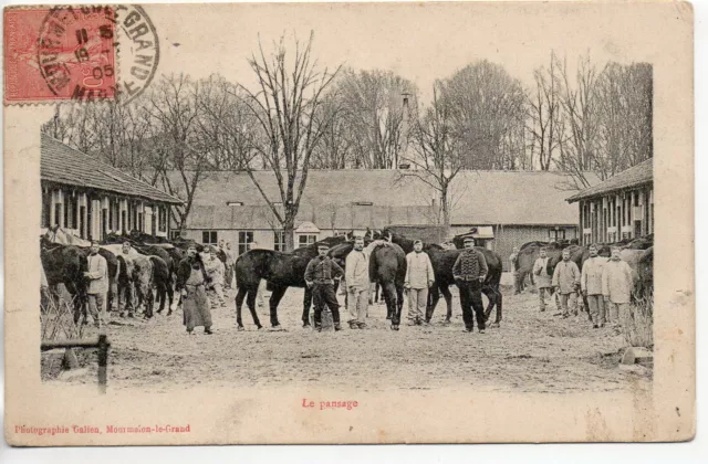 CHALONS SUR MARNE - Marne - CPA 51 - Vie Militaire Au camp - Chevaux le pansage
