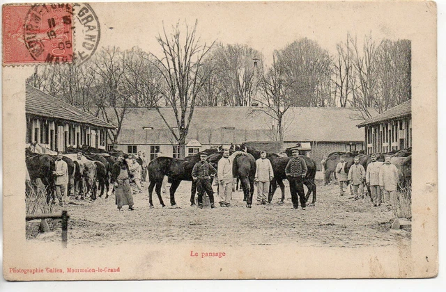 CHALONS SUR MARNE - Marne - CPA 51 - Vie Militaire Au camp - Chevaux le pansage