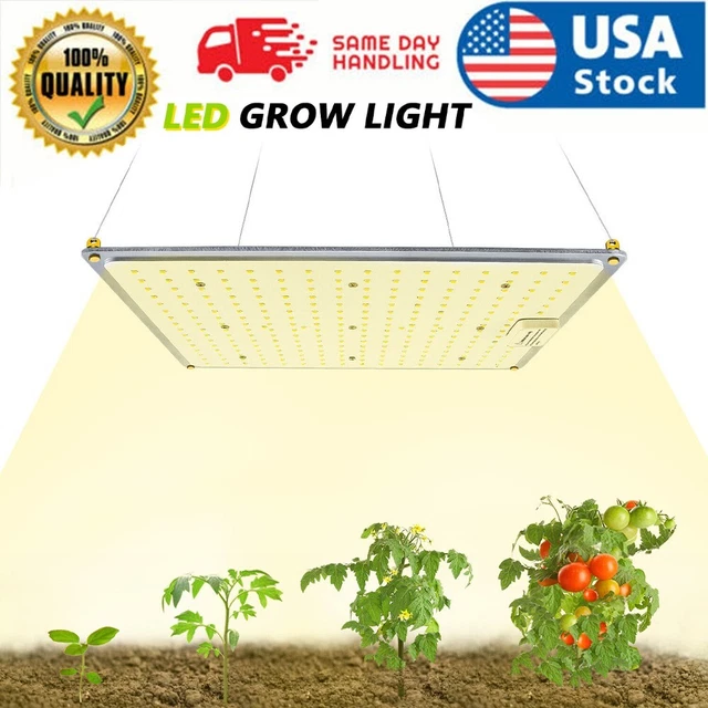 1000W LED GROW Light Full Spectrum for All Indoor Plants Veg Bloom ...