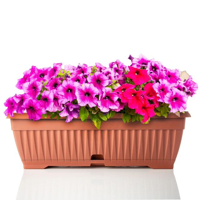 JOIKIT Blumenkasten Set – 6 Schwarze Rechteckige Pflanzkübel 43 Cm Mit Untersetzer Für Balkon, Fensterbank & Garten