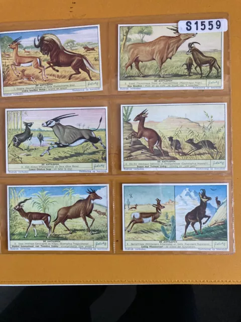 trade cards Liebig Antelopes  S1559 full set 1953