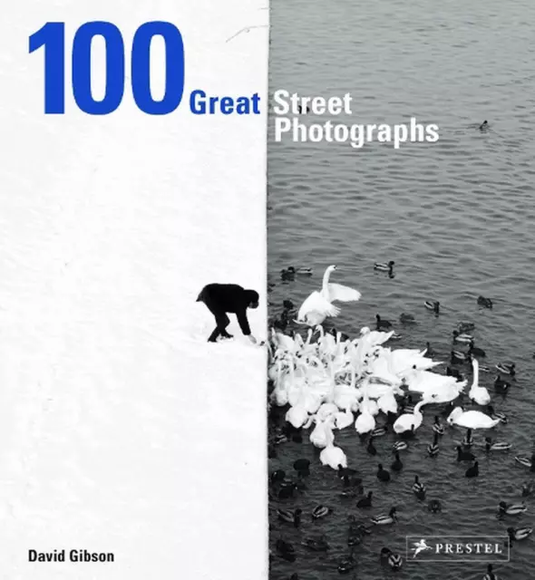 100 großartige Straßenfotografien von David Gibson (englisch) Hardcover-Buch