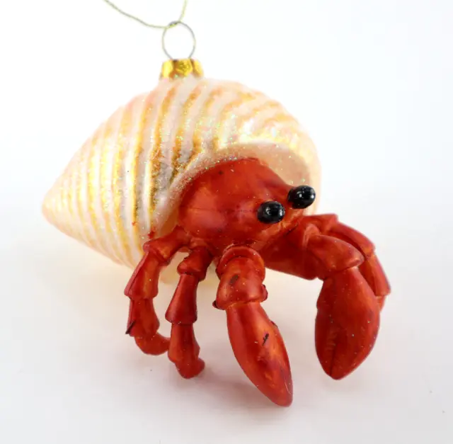Robert Stanley Hermit Crab Ocean Beach Blown Glass Christmas Ornament New