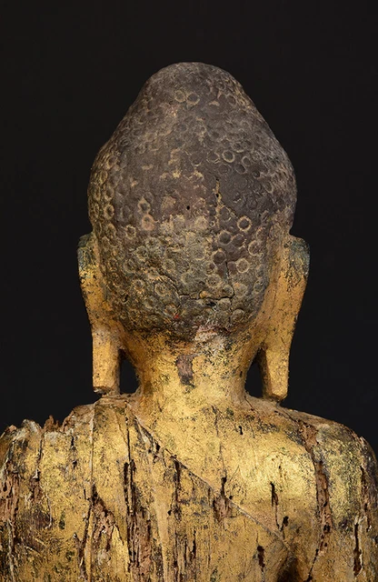 18th Century, Shan, Antique Burmese Wooden Seated Buddha 9