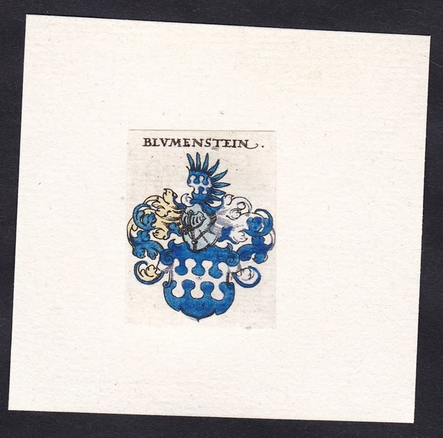 Blumenstein Escudo Abrigo De Arms Heráldica Grabado 17. Jh
