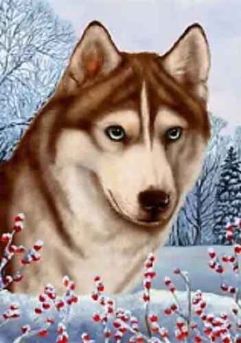 Winter House Flag - Blue-Eyed Red and White Siberian Husky 15439