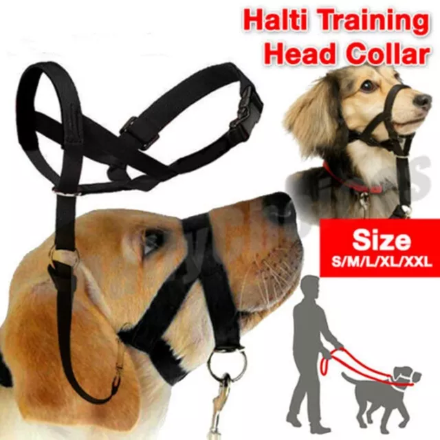 ziehen Hund Nylon Maulkorb Trainings kopf kragen Trainings leine Hunde halter