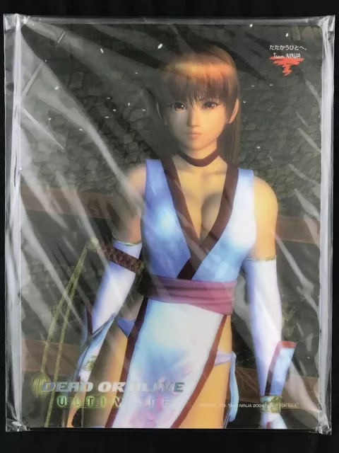 RARE! DOA Dead or Alive 2 EIN 1/10 Scale Figure Epoch Tecmo JAPAN -  Japanimedia Store