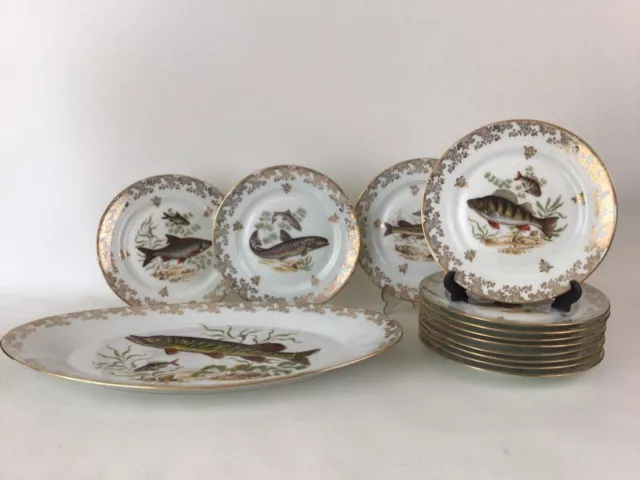 Service poisson 12 assiettes + plat porcelaine Limoges Chadelaud