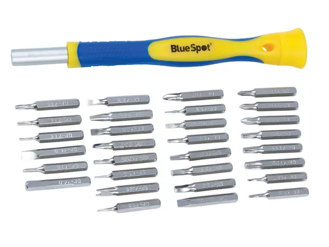 BlueSpot Tools Precisión Conductor Juego, 31 Piezas B/S12612