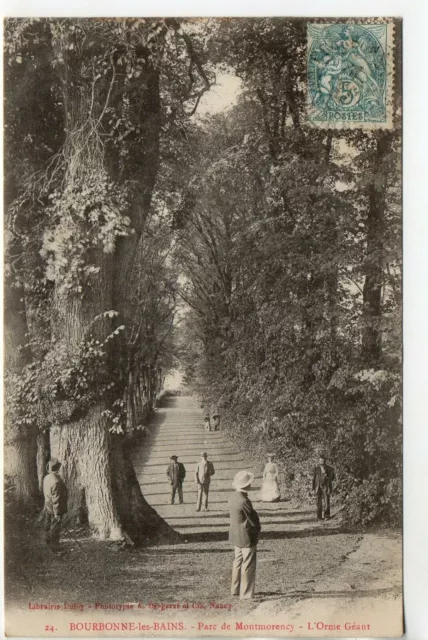 BOURBONNE LES BAINS - Haute Marne - CPA 52 - Parc de Montmorency - l'Orme giant
