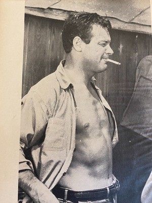 WILLIAM HOLDEN, SHIRTLESS, Full Page Vintage Pinup EUR 2,05 - PicClick FR