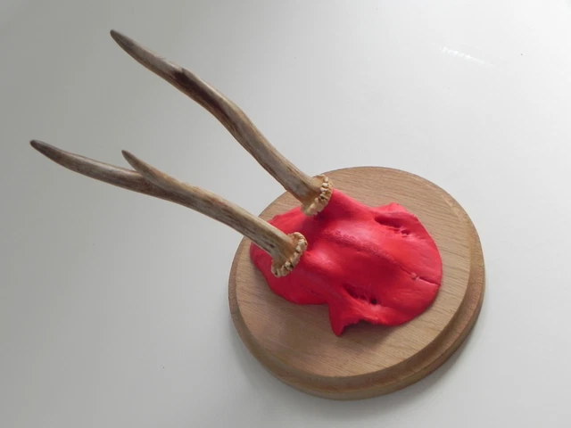 Asta de Ciervo Cráneo Rojo Pintado En Redondo Escudo de Trofeo Decoración Regalo