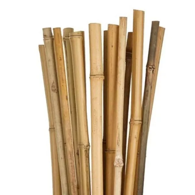100 Canne di Bamboo Bambù Ø 12/14 mm Decorazione Orto o  Giardino 90 cm o 150 cm