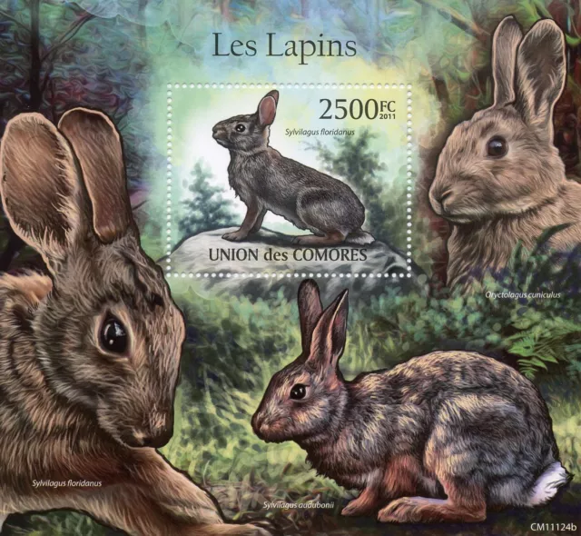 Comoros Wild Animals Stamps 2011 MNH Rabbits Eastern Cottontail Rabbit 1v S/S