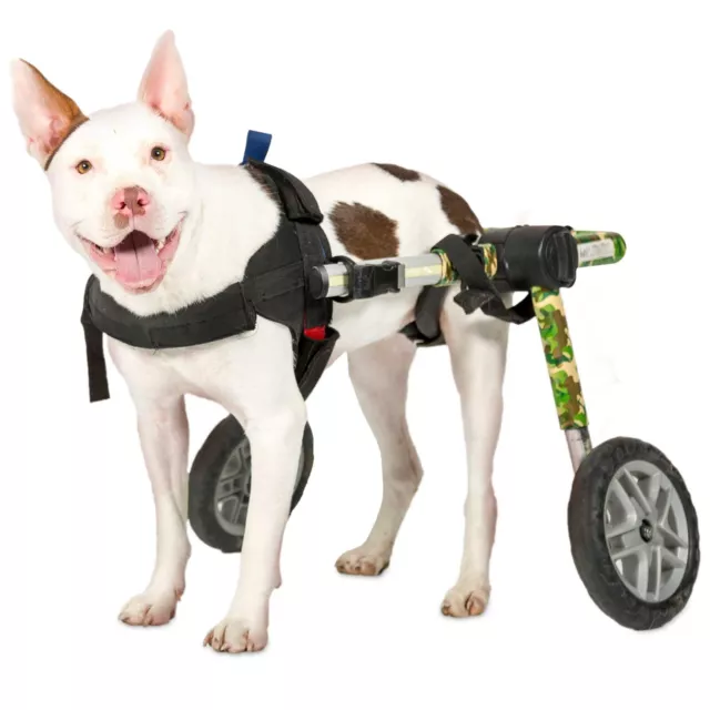 Camouflage Dog Wheelchair - For Medium Dogs 26-50lbs - By Walkin' Wheels