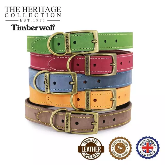 Dog Puppy Collar Ancol Leather Timberwolf  Blue / Stable / Grey