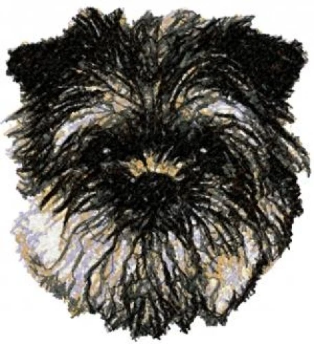 Embroidered Sweatshirt - Affenpinscher AED16161 Sizes S - XXL