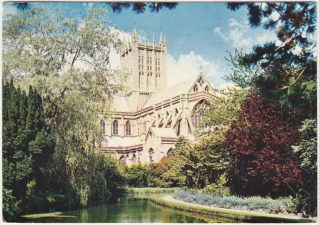 Postcard Wells Cathedral and swan pool, Wells, Somerset. Unposted.