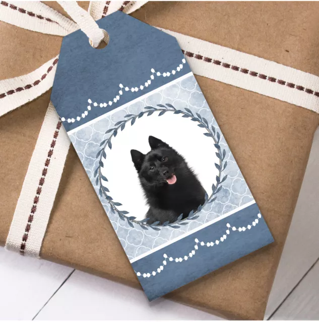 Schipperke Dog Blue Birthday Present Favor Gift Tags