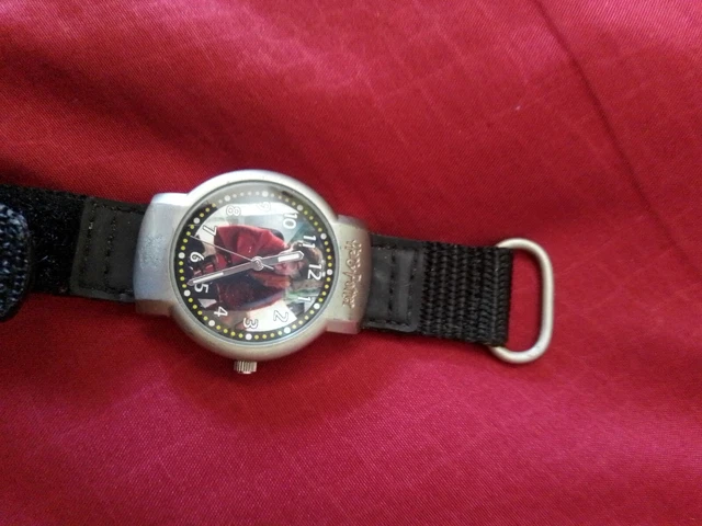Orologio Casual HARRY POTTER TP0028 - Multicolore, Cinturino In Acciaio, Idea Regalo Per Fan