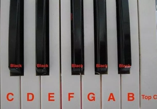 Roland  key RS-5 RS-50 RS-70 XP-10 Fantom Xa JP8000 VK7 VK and many